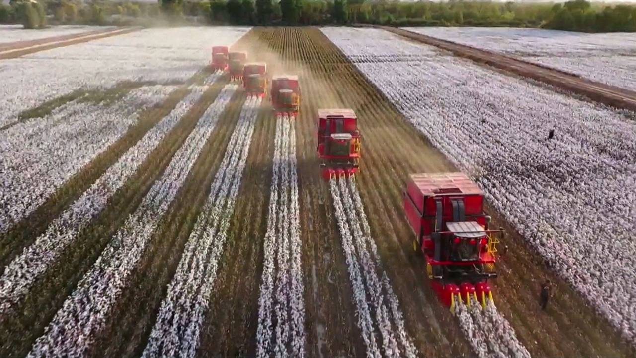 Chinese state media claims most Xinjiang cotton is machine harvested