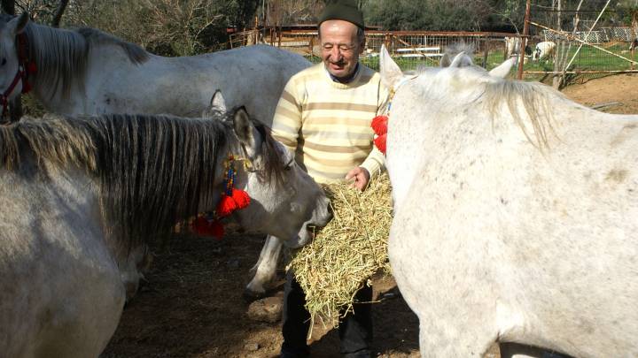 Die Pferdekutschen auf den türkischen Prinzeninseln