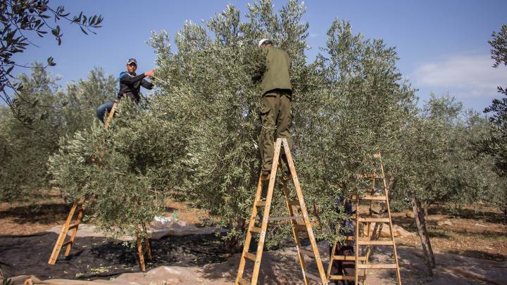 Gazastreifen und das Westjordanland Gazastreifen und das Westjordanland