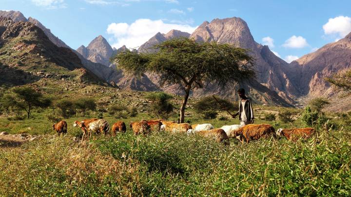 Ägypten, Sudan und das Hala'ib-Dreieck 