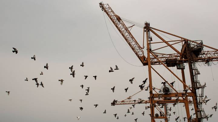 Hodeida, die Huthis und das Rote Meer