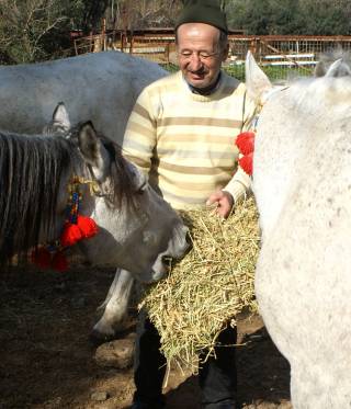 Die Pferdekutschen auf den türkischen Prinzeninseln