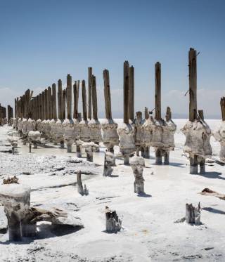 Not only local fisherman suffer from the predrying of Lake Urmia: Salt and dust also severely affect regional farms and their farmland.  