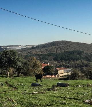Agacli countryside