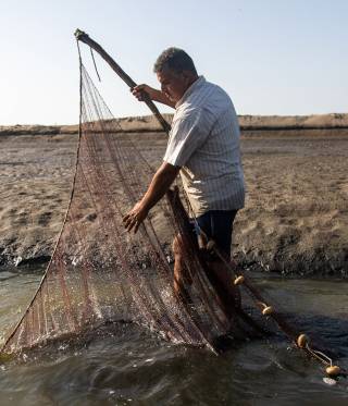 Fischerei und Umweltverschmutzung in Ägypten