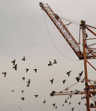 Hodeida, die Huthis und das Rote Meer
