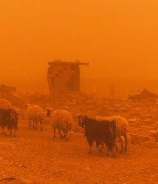 Landwirtschaft und Klimawandel im Irak