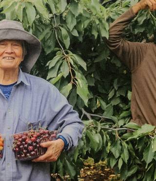 Friedensinitiativen im Nahostkonflikt