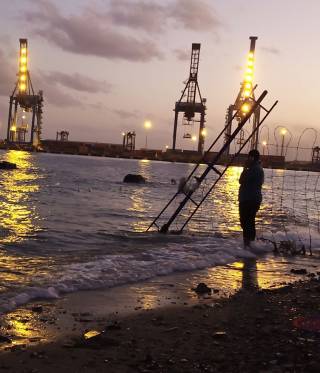 Wirtschaftliche und ökologische Folgen des Kriegs im Sudan